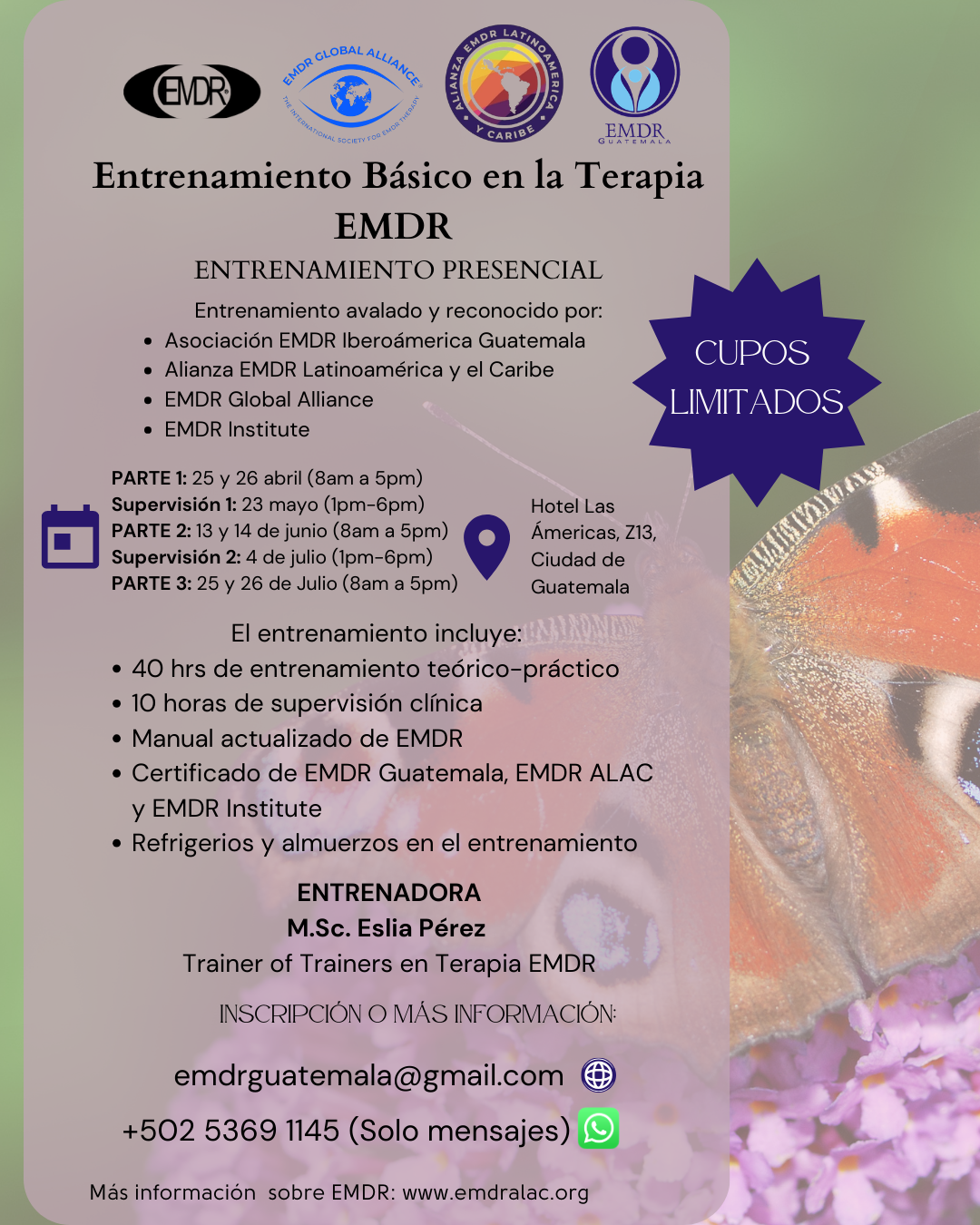 Entrenamiento Básico en EMDR Presencial 2026